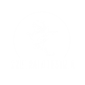 default-logo